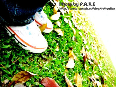 NCHU。隨走隨拍 @強生與小吠的Hyper人蔘~ NCHU。隨走隨拍