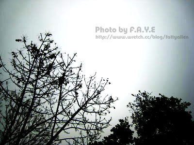 NCHU。隨走隨拍 @強生與小吠的Hyper人蔘~ NCHU。隨走隨拍