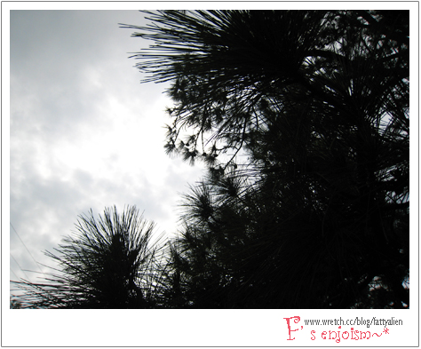 四月天,東海炙熱走拍。 @強生與小吠的Hyper人蔘~ 四月天,東海炙熱走拍。