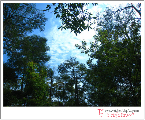 四月天,東海炙熱走拍。 @強生與小吠的Hyper人蔘~ 四月天,東海炙熱走拍。