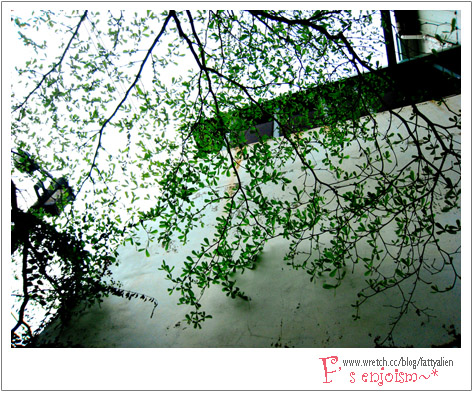 四月天,東海炙熱走拍。 @強生與小吠的Hyper人蔘~ 四月天,東海炙熱走拍。