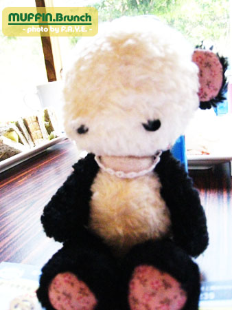 Mr. Socko出遊趣。 @強生與小吠的Hyper人蔘~ Mr. Socko出遊趣。