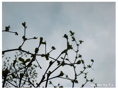 +拍婚紗好好玩+ 拍照前焦慮 @強生與小吠的Hyper人蔘~ +拍婚紗好好玩+ 拍照前焦慮