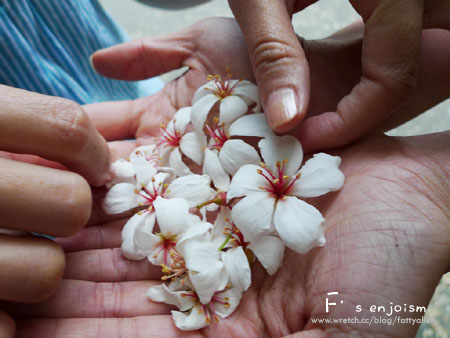 苗栗天空之城。難以兼顧的現實與夢想 @強生與小吠的Hyper人蔘~ 苗栗天空之城。難以兼顧的現實與夢想