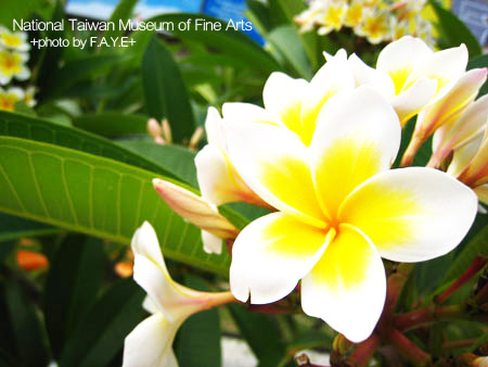 國美館培養藝術氣息去 @強生與小吠的Hyper人蔘~ 國美館培養藝術氣息去