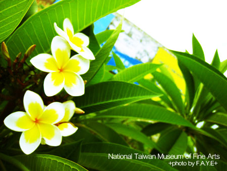 國美館培養藝術氣息去 @強生與小吠的Hyper人蔘~ 國美館培養藝術氣息去