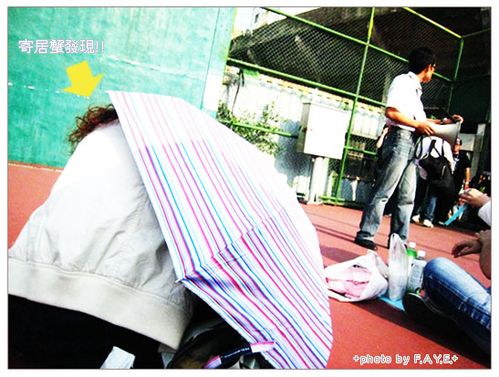 MAYDAY→Down to Earth 2008!! @強生與小吠的Hyper人蔘~ MAYDAY→Down to Earth 2008!!