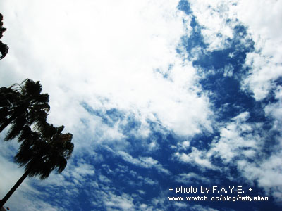 天空的模樣 @強生與小吠的Hyper人蔘~ 天空的模樣