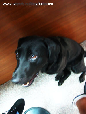 晨之鳥。The Early Bird Diner @強生與小吠的Hyper人蔘~ 晨之鳥。The Early Bird Diner