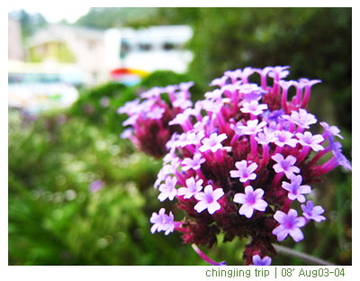 放一個腦袋空空行。 @強生與小吠的Hyper人蔘~ 放一個腦袋空空行。