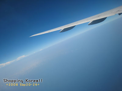 瞎拼Korea! +2008秋遊韓國+ Day1 @強生與小吠的Hyper人蔘~ 瞎拼Korea! +2008秋遊韓國+ Day1