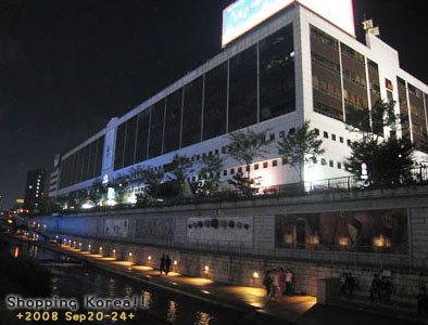 瞎拼Korea! +2008秋遊韓國+ Day1 @強生與小吠的Hyper人蔘~ 瞎拼Korea! +2008秋遊韓國+ Day1