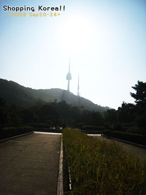 瞎拼Korea! +2008秋遊韓國+ Day2 @強生與小吠的Hyper人蔘~ 瞎拼Korea! +2008秋遊韓國+ Day2