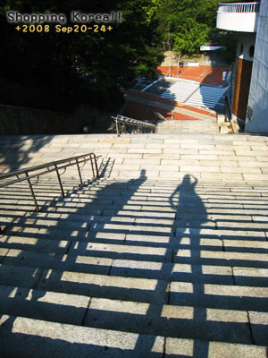 瞎拼Korea! +2008秋遊韓國+ Day2 @強生與小吠的Hyper人蔘~ 瞎拼Korea! +2008秋遊韓國+ Day2