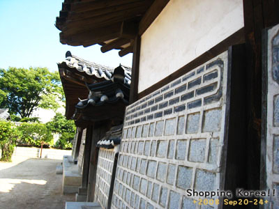 瞎拼Korea! +2008秋遊韓國+ Day2 @強生與小吠的Hyper人蔘~ 瞎拼Korea! +2008秋遊韓國+ Day2