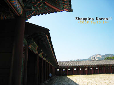 瞎拼Korea! +2008秋遊韓國+ Day2 @強生與小吠的Hyper人蔘~ 瞎拼Korea! +2008秋遊韓國+ Day2