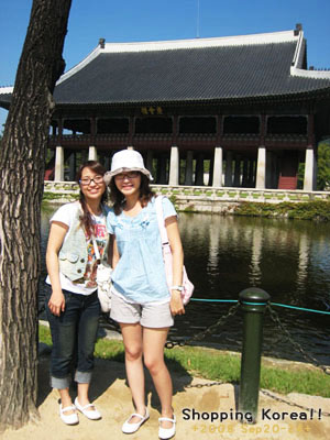 瞎拼Korea! +2008秋遊韓國+ Day2 @強生與小吠的Hyper人蔘~ 瞎拼Korea! +2008秋遊韓國+ Day2