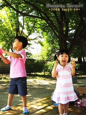 瞎拼Korea! +2008秋遊韓國+ Day2 @強生與小吠的Hyper人蔘~ 瞎拼Korea! +2008秋遊韓國+ Day2