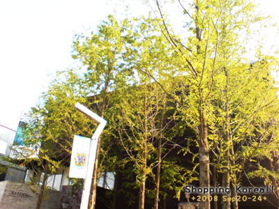 瞎拼Korea! +2008秋遊韓國+ Day2 @強生與小吠的Hyper人蔘~ 瞎拼Korea! +2008秋遊韓國+ Day2