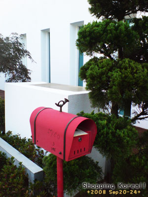 瞎拼Korea! +2008秋遊韓國+ Day2 @強生與小吠的Hyper人蔘~ 瞎拼Korea! +2008秋遊韓國+ Day2