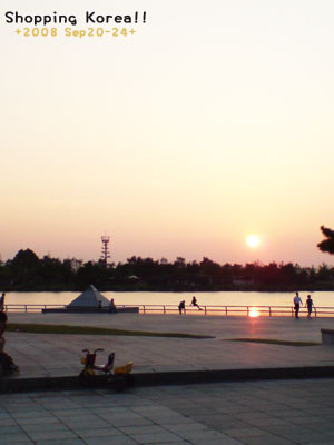 瞎拼Korea! +2008秋遊韓國+ Day2 @強生與小吠的Hyper人蔘~ 瞎拼Korea! +2008秋遊韓國+ Day2