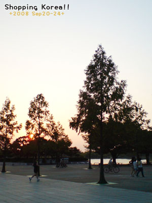 瞎拼Korea! +2008秋遊韓國+ Day2 @強生與小吠的Hyper人蔘~ 瞎拼Korea! +2008秋遊韓國+ Day2