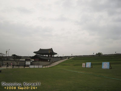 瞎拼Korea! +2008秋遊韓國+ Day3 @強生與小吠的Hyper人蔘~ 瞎拼Korea! +2008秋遊韓國+ Day3