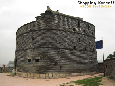 瞎拼Korea! +2008秋遊韓國+ Day3 @強生與小吠的Hyper人蔘~ 瞎拼Korea! +2008秋遊韓國+ Day3