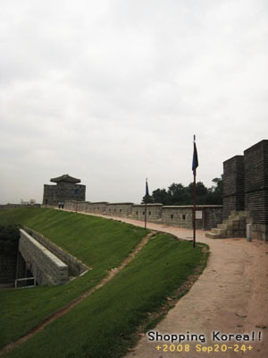 瞎拼Korea! +2008秋遊韓國+ Day3 @強生與小吠的Hyper人蔘~ 瞎拼Korea! +2008秋遊韓國+ Day3