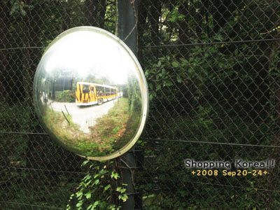 瞎拼Korea! +2008秋遊韓國+ Day3 @強生與小吠的Hyper人蔘~ 瞎拼Korea! +2008秋遊韓國+ Day3