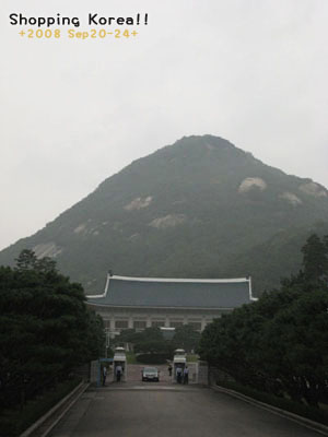 瞎拼Korea! +2008秋遊韓國+ Day4 @強生與小吠的Hyper人蔘~ 瞎拼Korea! +2008秋遊韓國+ Day4