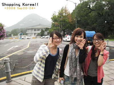 瞎拼Korea! +2008秋遊韓國+ Day4 @強生與小吠的Hyper人蔘~ 瞎拼Korea! +2008秋遊韓國+ Day4