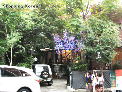 瞎拼Korea! +2008秋遊韓國+ Day4 @強生與小吠的Hyper人蔘~ 瞎拼Korea! +2008秋遊韓國+ Day4