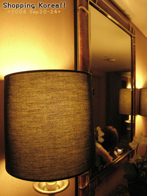 瞎拼Korea! +2008秋遊韓國+ Day4 @強生與小吠的Hyper人蔘~ 瞎拼Korea! +2008秋遊韓國+ Day4