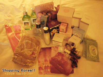 瞎拼Korea! +2008秋遊韓國+ Day4 @強生與小吠的Hyper人蔘~ 瞎拼Korea! +2008秋遊韓國+ Day4