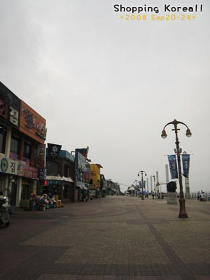 瞎拼Korea! +2008秋遊韓國+ Day5 @強生與小吠的Hyper人蔘~ 瞎拼Korea! +2008秋遊韓國+ Day5