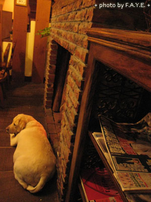 【鄉村鵝廚房】不吃鵝肉 @強生與小吠的Hyper人蔘~ 【鄉村鵝廚房】不吃鵝肉