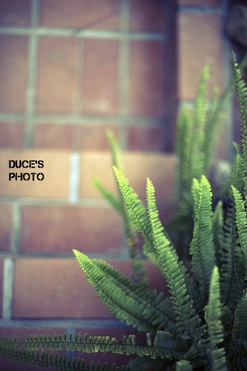 ღ wedding partyღ 完美婚宴場地〈皮耶小館〉 @強生與小吠的Hyper人蔘~ ღ wedding partyღ 完美婚宴場地〈皮耶小館〉