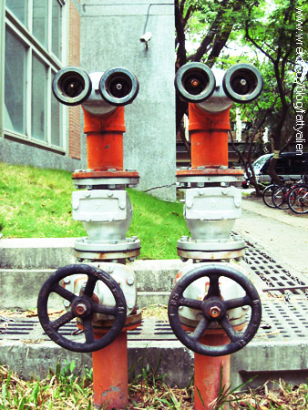 Rainy Day。 @強生與小吠的Hyper人蔘~ Rainy Day。