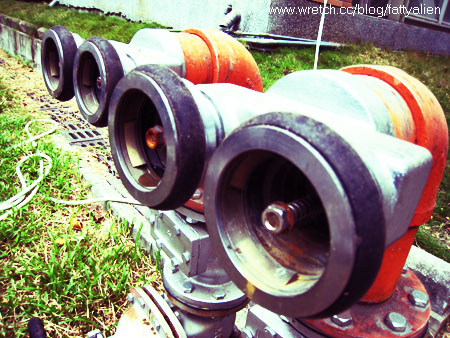 Rainy Day。 @強生與小吠的Hyper人蔘~ Rainy Day。