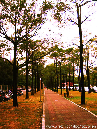 Rainy Day。 @強生與小吠的Hyper人蔘~ Rainy Day。