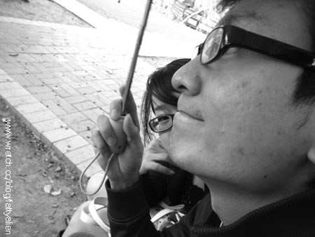 Rainy Day。 @強生與小吠的Hyper人蔘~ Rainy Day。