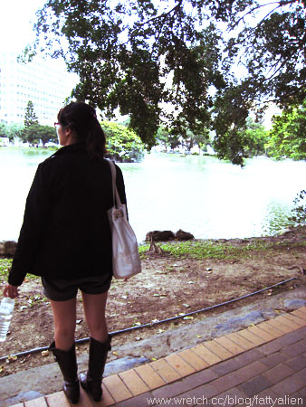 Rainy Day。 @強生與小吠的Hyper人蔘~ Rainy Day。