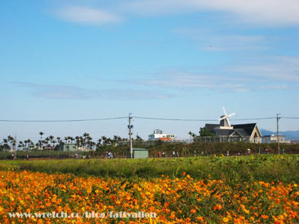 花賞‧2008新社花海節 @強生與小吠的Hyper人蔘~ 花賞‧2008新社花海節