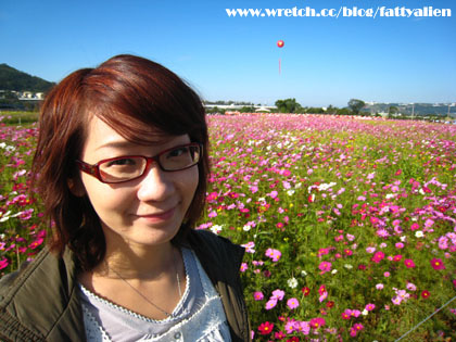 花賞‧2008新社花海節 @強生與小吠的Hyper人蔘~ 花賞‧2008新社花海節