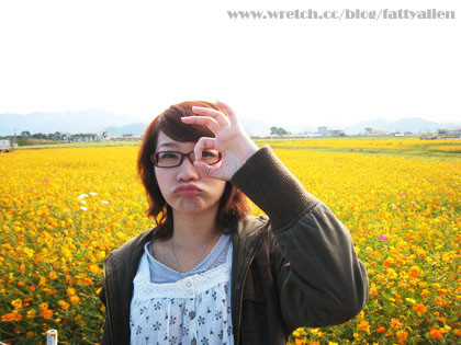 花賞‧2008新社花海節 @強生與小吠的Hyper人蔘~ 花賞‧2008新社花海節