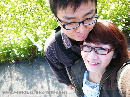 花賞‧2008新社花海節 @強生與小吠的Hyper人蔘~ 花賞‧2008新社花海節