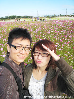 花賞‧2008新社花海節 @強生與小吠的Hyper人蔘~ 花賞‧2008新社花海節