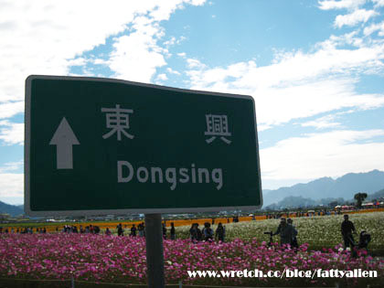 花賞‧2008新社花海節 @強生與小吠的Hyper人蔘~ 花賞‧2008新社花海節