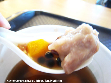 花賞‧2008新社花海節 @強生與小吠的Hyper人蔘~ 花賞‧2008新社花海節